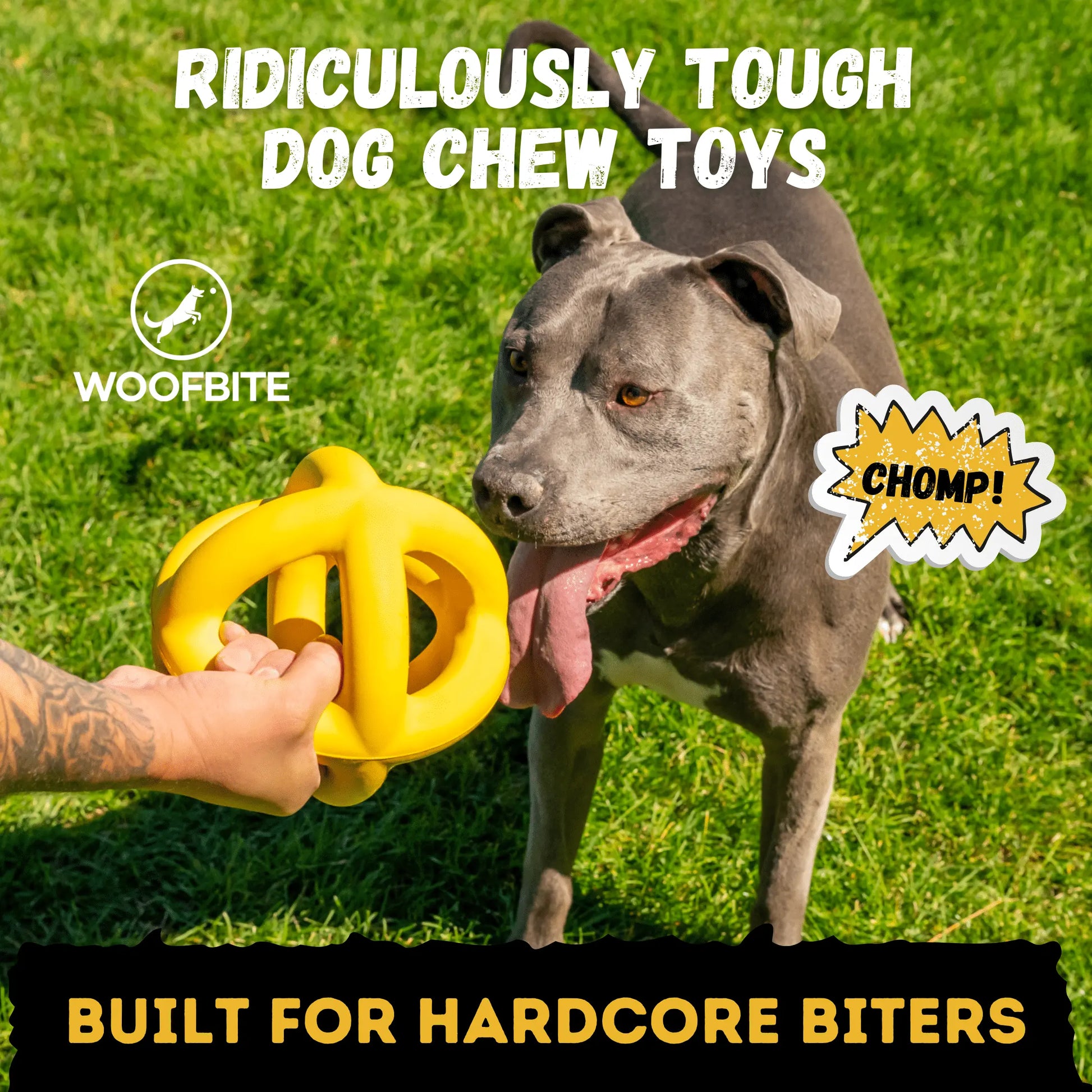 Monster K9 Giant Halo Ball – Oversized Indestructible Dog Ball for XL & Large Breed Power Chewers