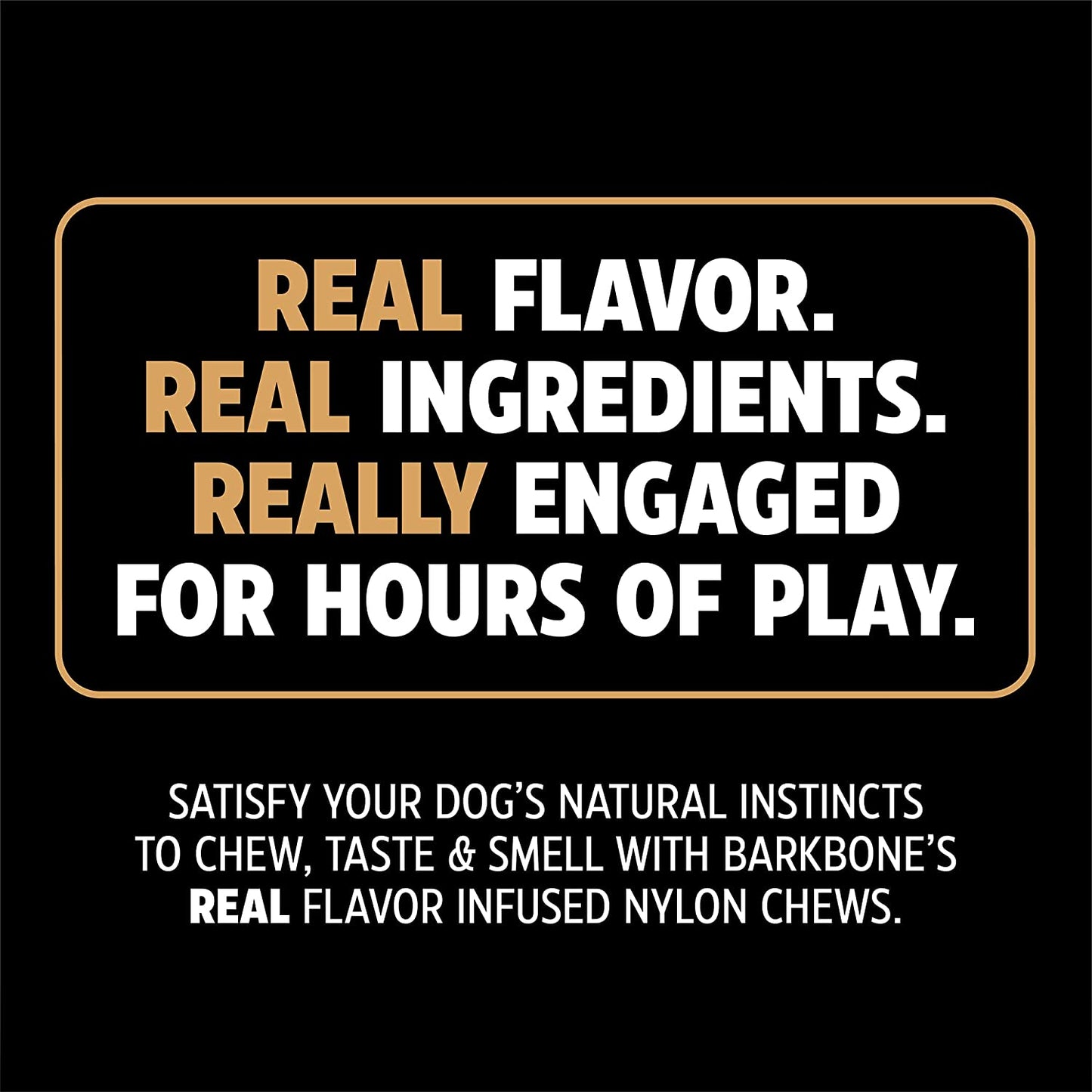 Wishbone Barkbone - Nylon Chew Toy for Aggressive Chewers - Bacon Flavor - 5.38"