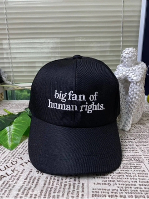 Big Fan of Human Rights Embroidered Hat, Equality Shirt, Social Justice Embroidered Hat, Political Protest Hat, Human Rights Embroidered Hat