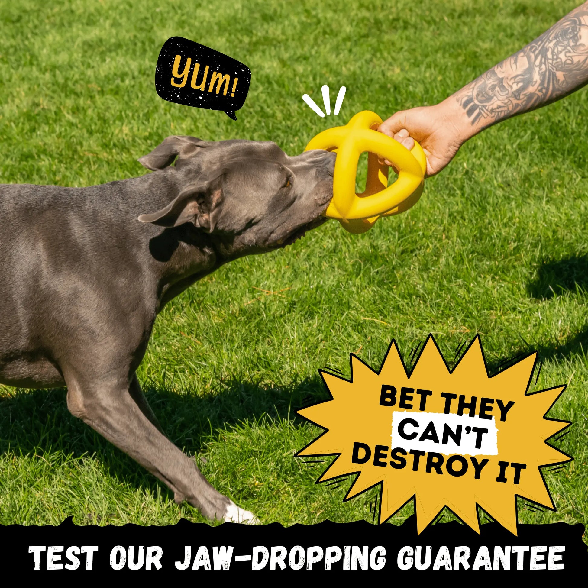 Monster K9 Giant Halo Ball – Oversized Indestructible Dog Ball for XL & Large Breed Power Chewers