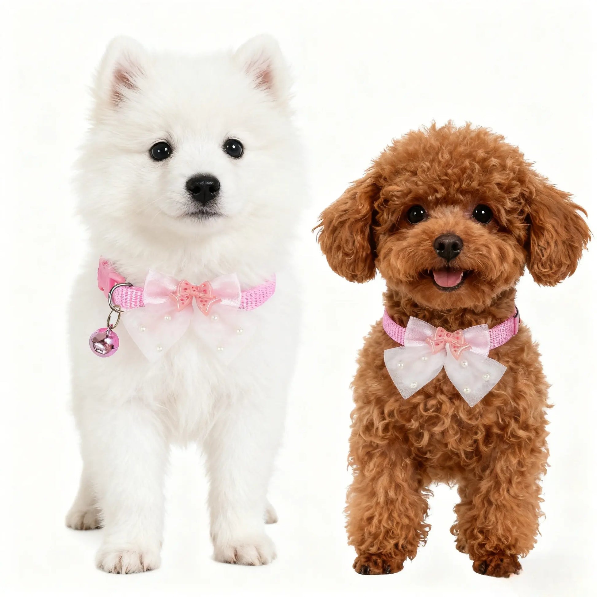 Adjustable Bow Tie Collar for Yorkie, Maltese, Poodle Dogs & Puppy, Butterfly Design, Cute Pet Accessory, Comfortable Neck Strap