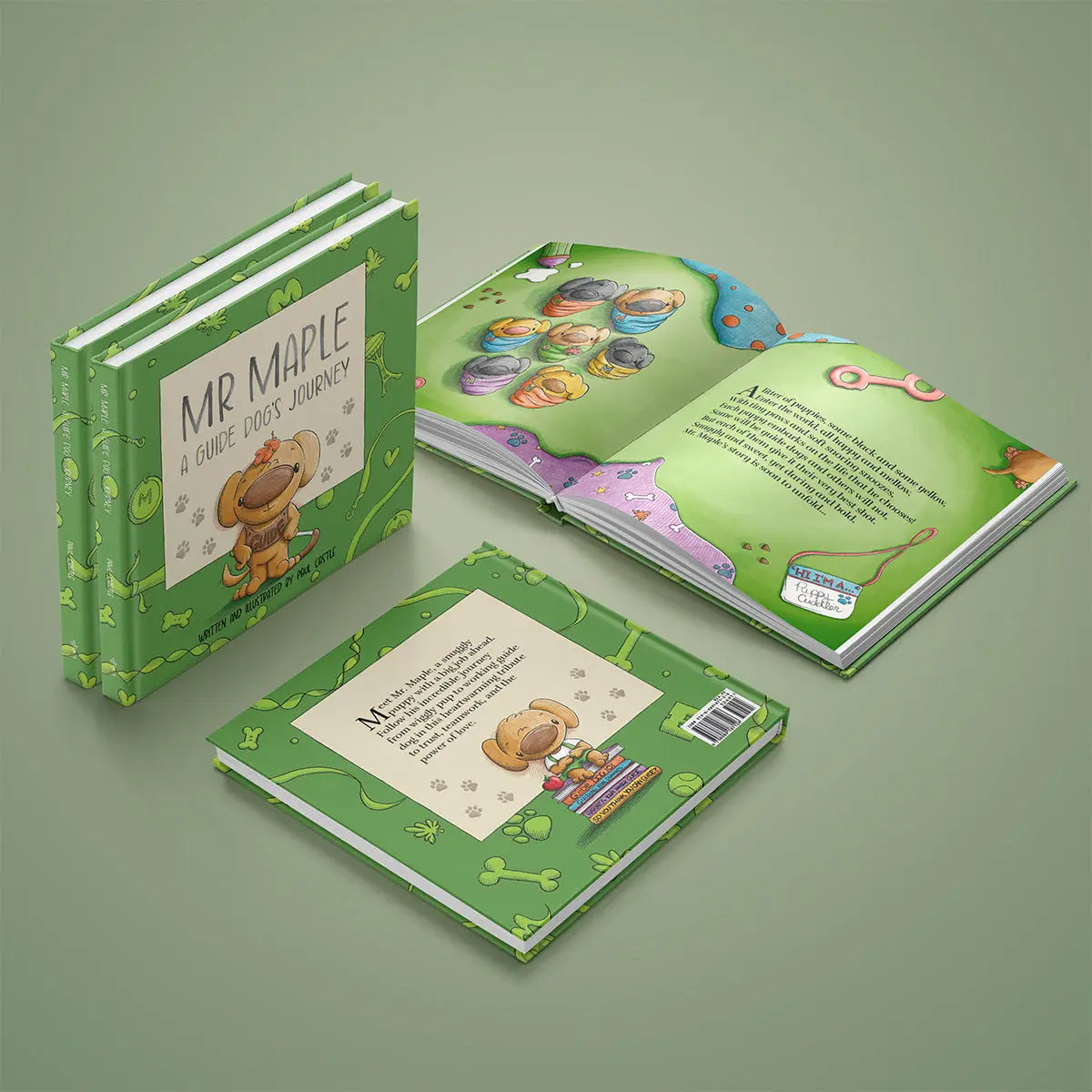 Mr. Maple Book and Plushie Bundle
