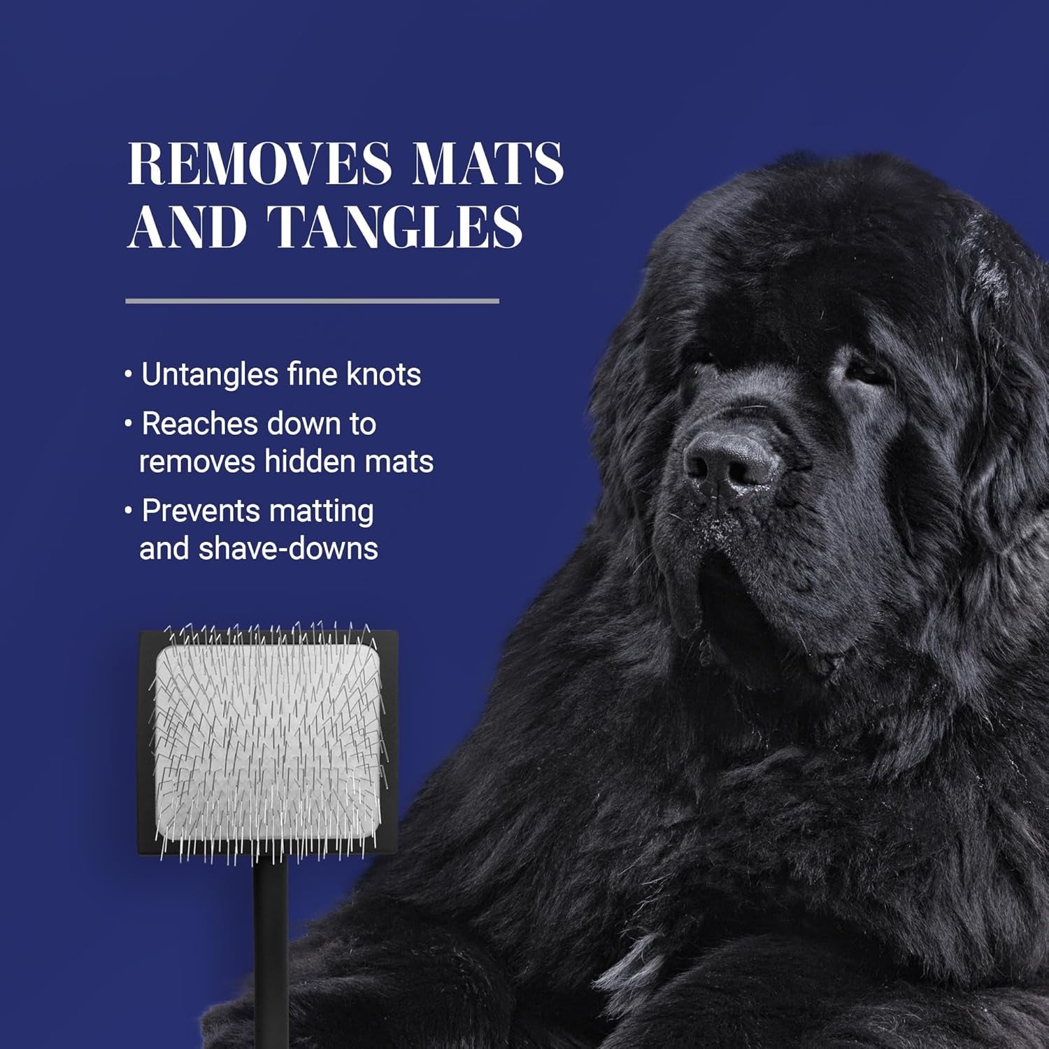 Baby K Dog Slicker Brush, Groom like a Professional, Fluff Detangle Style, Saves Time Energy, Black, Small